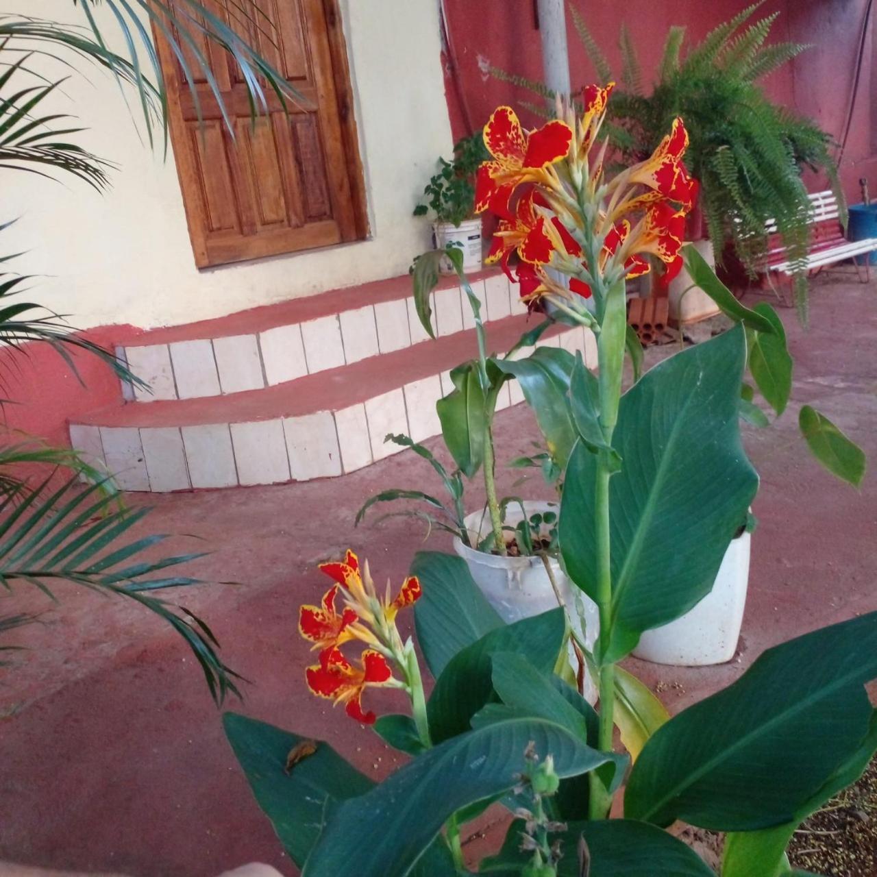 Apartment Venecia Puerto Iguazu